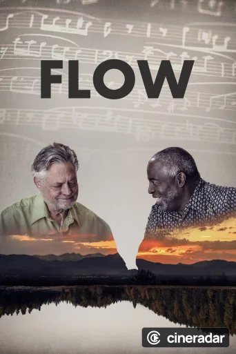 Flow