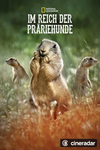 Prairie Dog Manor