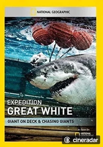 Shark Men