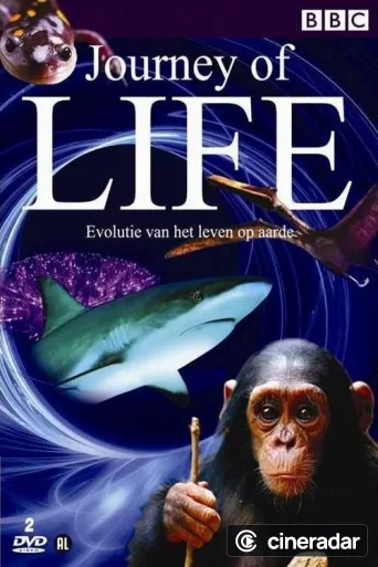 El viaje de la vida