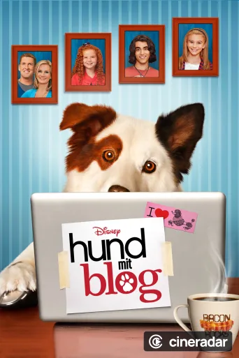Un Blog da cani