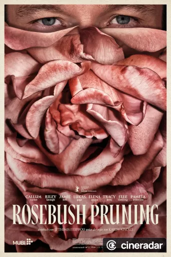 Rosebush Pruning