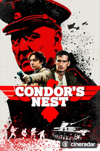 Condor's Nest