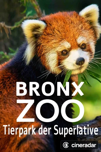Le Zoo du Bronx