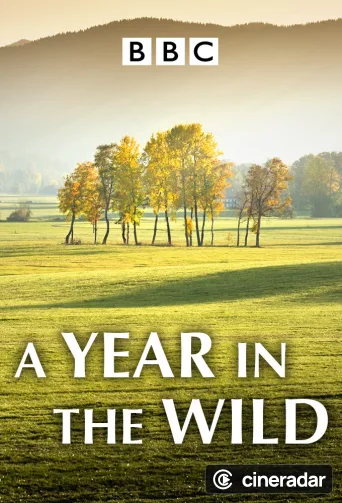 A Year in the Wild