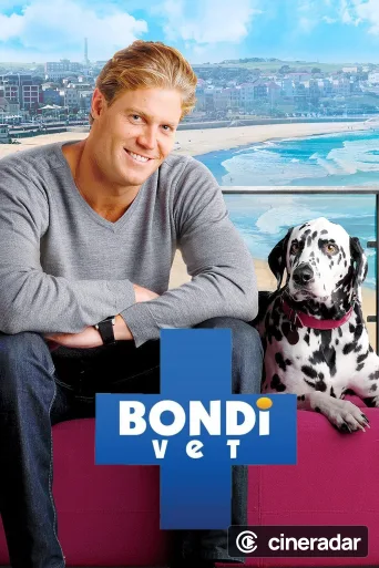 Bondi Vet