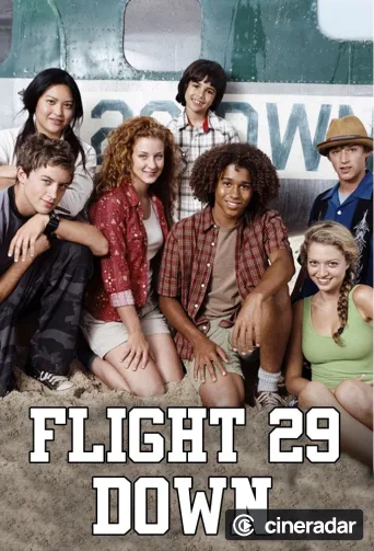 Flight 29 Down