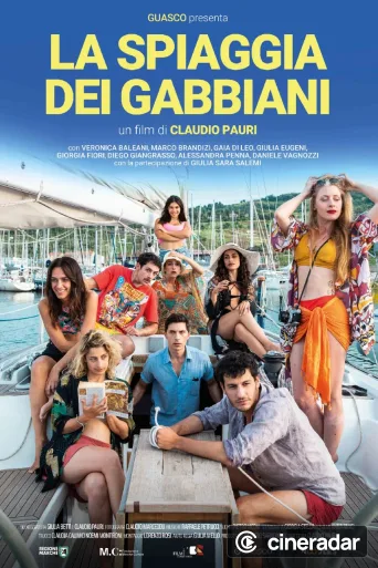 La spiaggia dei gabbiani
