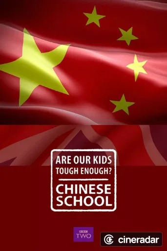 Are Our Kids Tough Enough? Chinese School