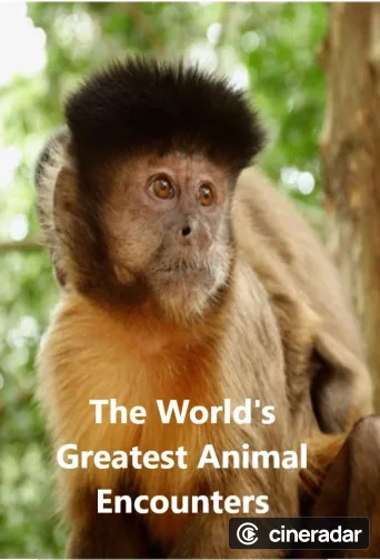 World's Greatest Animal Encounters