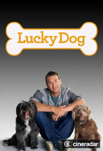 Lucky Dog