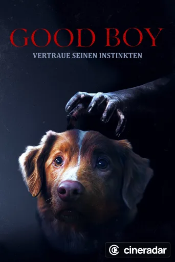 Good Boy
