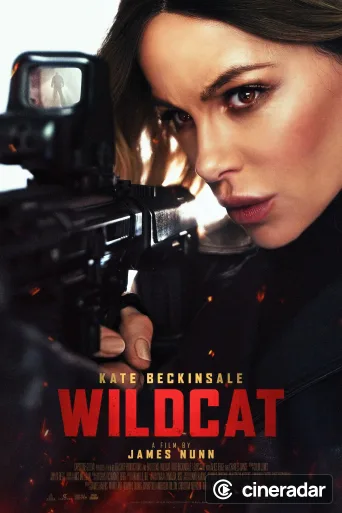 Wildcat