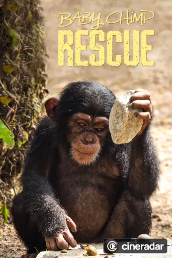 Baby Chimp Rescue