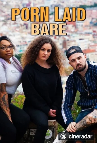Porn Laid Bare