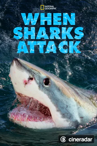 When Sharks attack...
