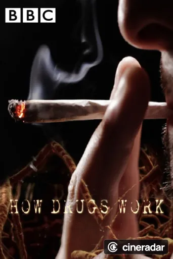 How Drugs Work