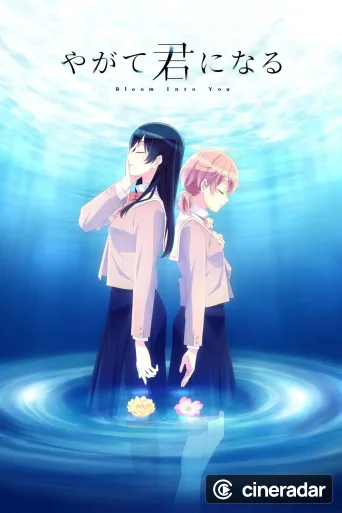 Bloom into You