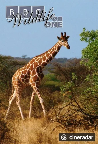 Wildlife on One