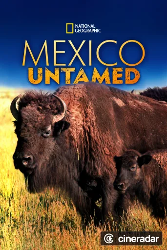 Wildes Mexiko