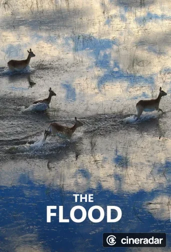 The Flood