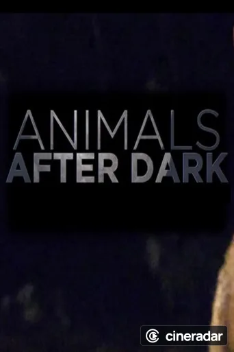 Animals After Dark