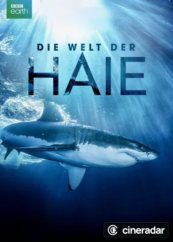 Die Welt der Haie