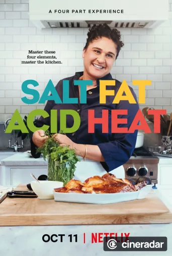Salt Fat Acid Heat