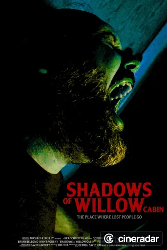 Shadows of Willow Cabin