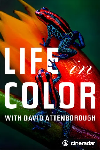 Das Leben in Farbe mit David Attenborough