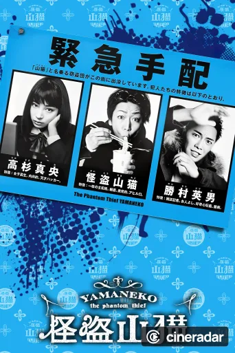 怪盗 山猫