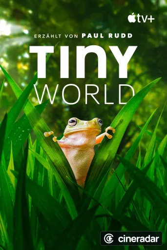 Tiny World
