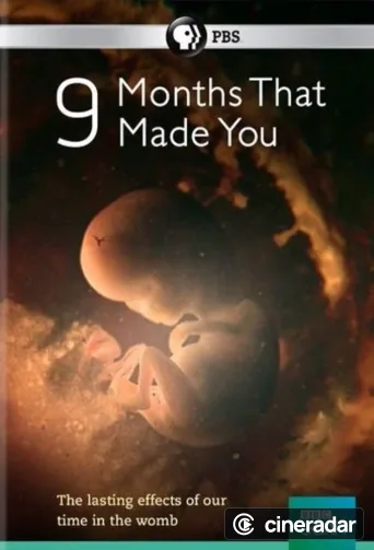 9 Months That Made You
