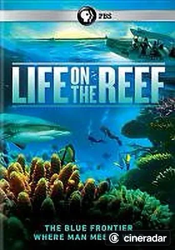 Life on the Reef