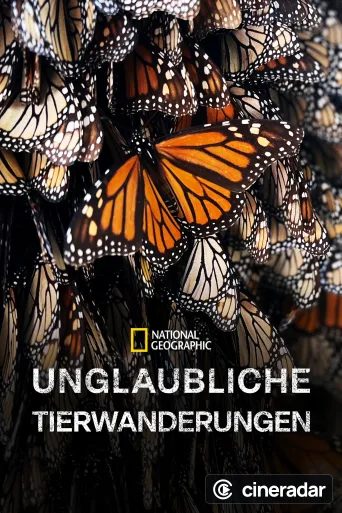 Unglaubliche Tierwanderungen
