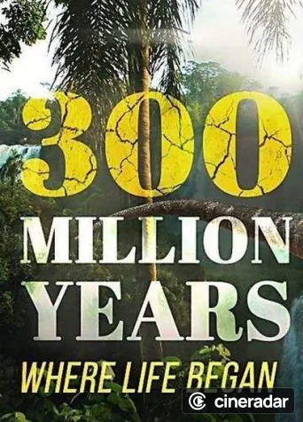 300 Million Years