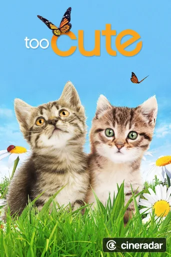Too Cute