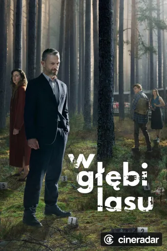 Das Grab im Wald