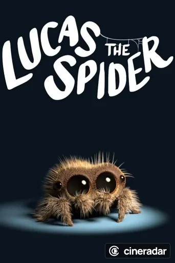 Lukas, die Spinne