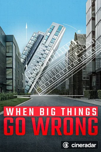 When Big Things Go Wrong