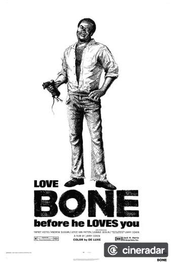 Bone