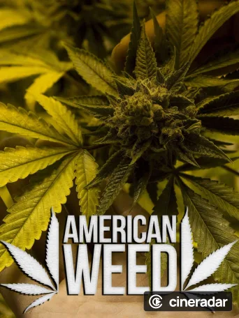 American Weed