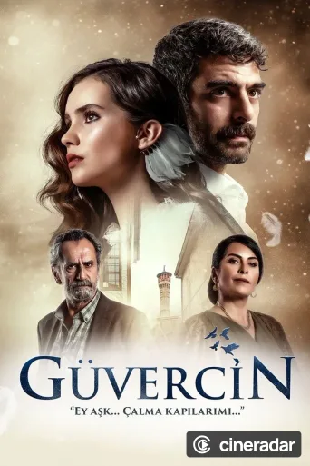 Güvercin