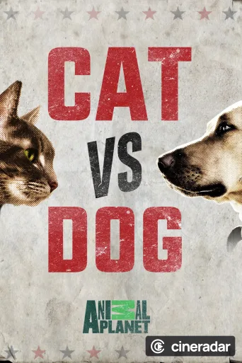 Cat vs. Dog