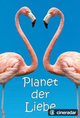 Planet der Liebe