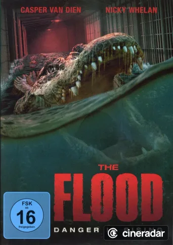 The Flood
