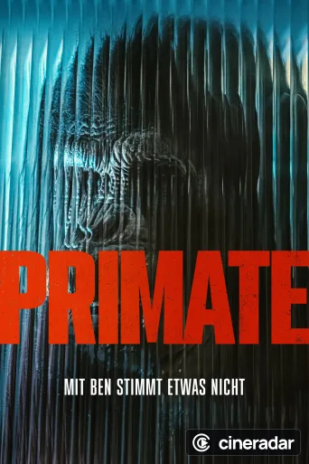 Primate