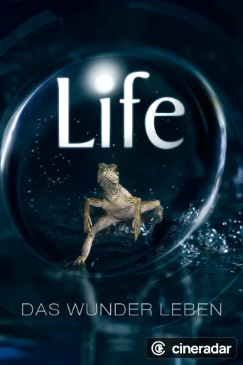 Life