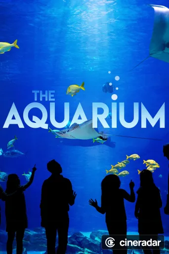 The Aquarium