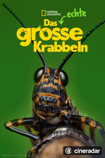 Das echte große Krabbeln